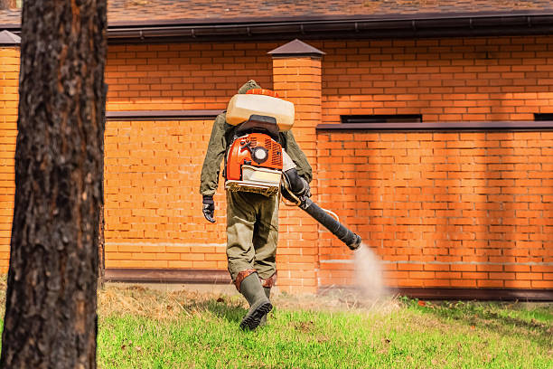 Trusted Rodent Control service in East Washington, PA - Nex Pest Control
